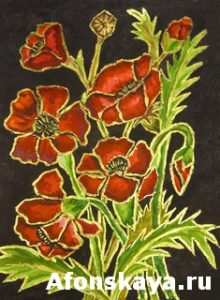 Poppies on black background, painting