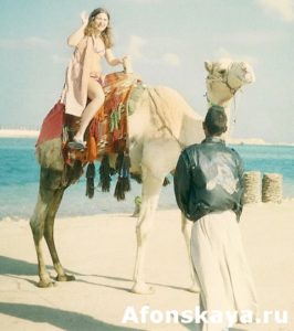 Египет верблюд