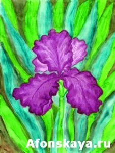 Violet iris, painting