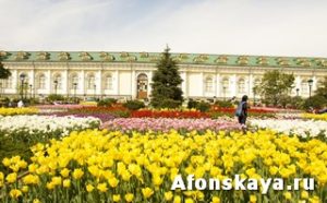 Москва Александровский сад