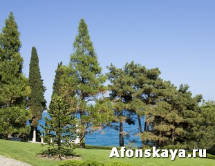 парк Айвазовского Крым