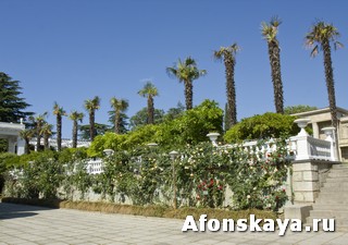 Никитский ботанический сад Крым