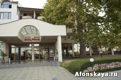 отель дельфин